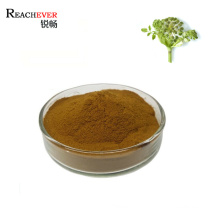 Pure Herbal Extract Angelica Sinensis Extract Powder Dong Quai Extract